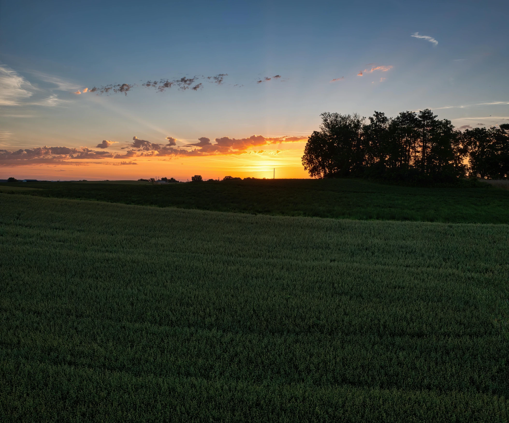 a sun is rising over some trees on the horizon