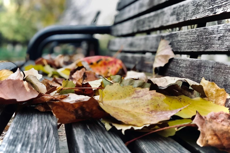 leaves are piled on an old park bench