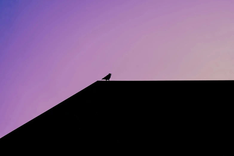 a silhouette of a house, roof and a bird in the distance