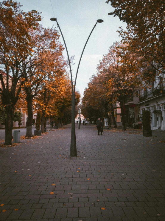 a lamp post in a city street filled with lots of leaf covered trees