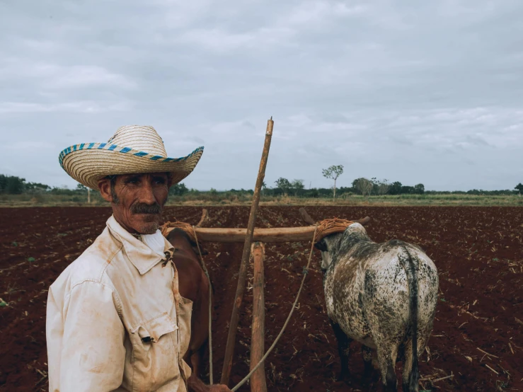 a man with a hat next to a cow