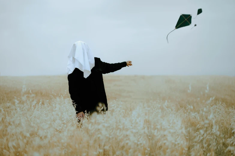 a person standing in a field flying a kite