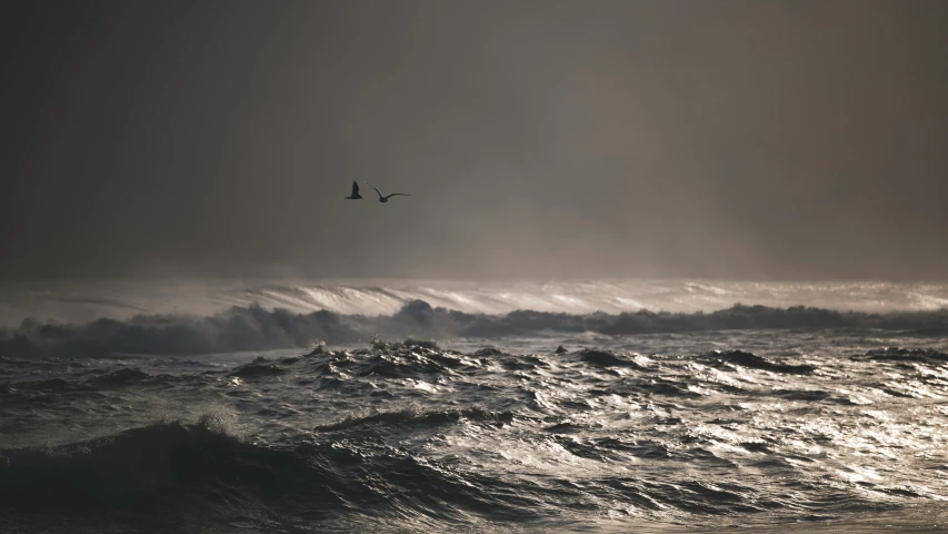 a bird flying over a large body of water