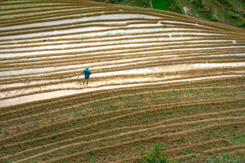 a person is standing alone in the middle of a field