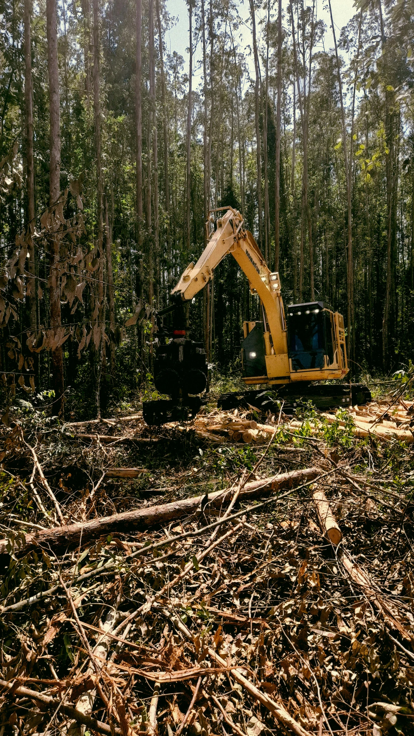 a yellow excavater is clearing a forest