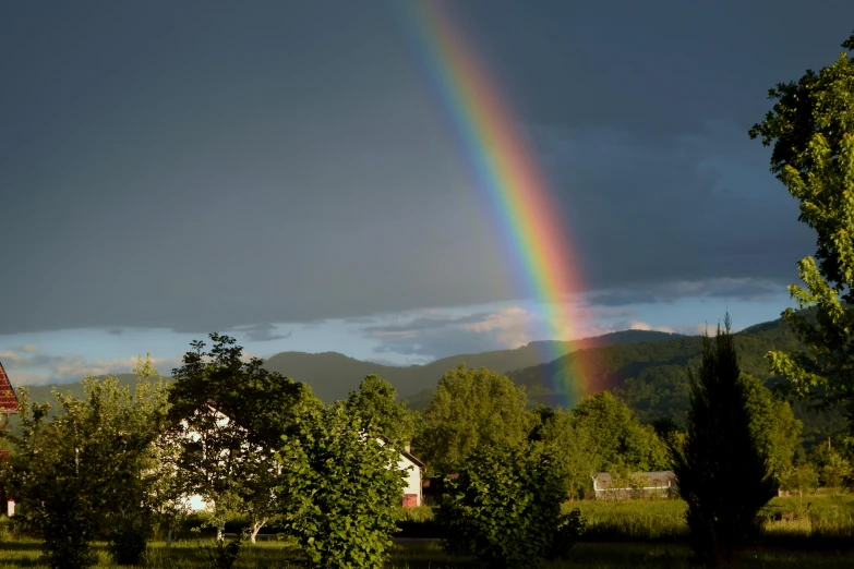 a rainbow is coming out above the trees