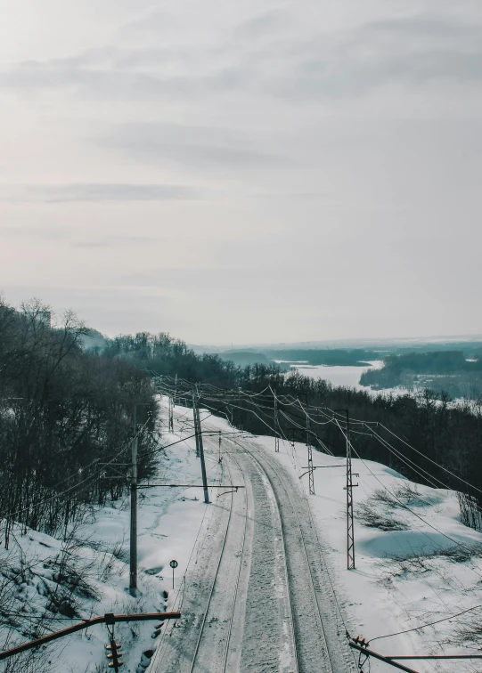 a road next to some forest on a snowy day