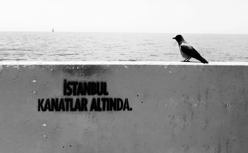 a bird sitting on the wall overlooking the water