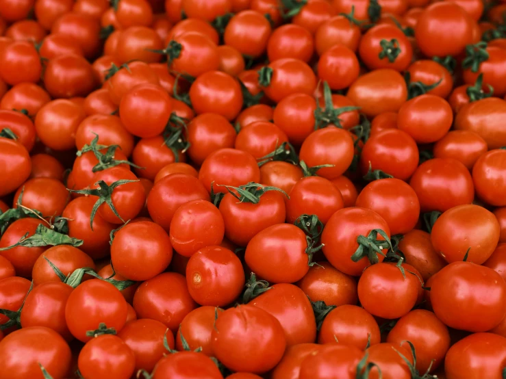 a bunch of tomatoes are on display at the grocery store