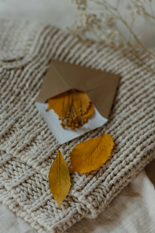 an envelope with some leaves on it