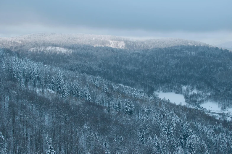 a snowy mountain with some trees in the foreground