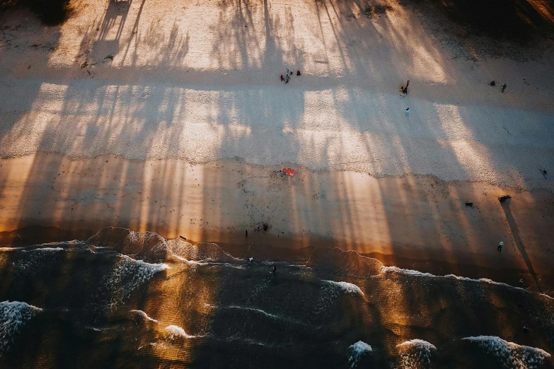 shadows cast on the sand of a beach