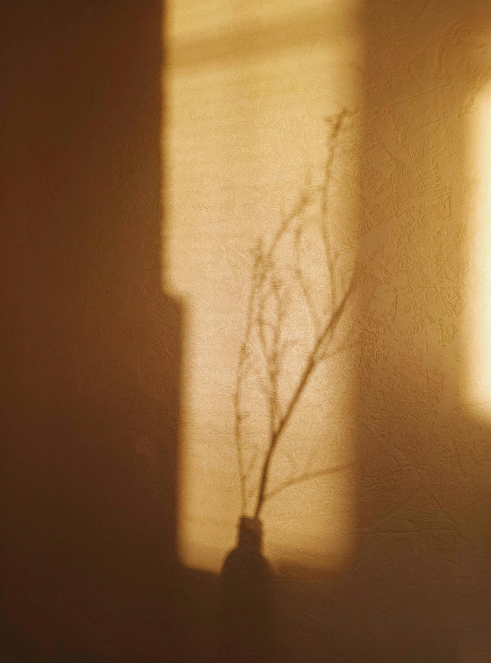 a vase filled with green plants sitting in front of a window