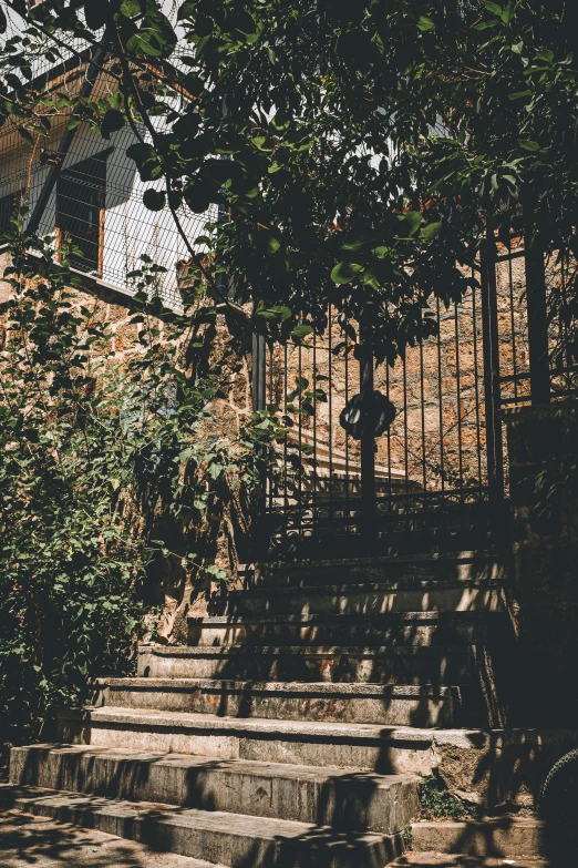 some stairs some trees and a fence and bushes