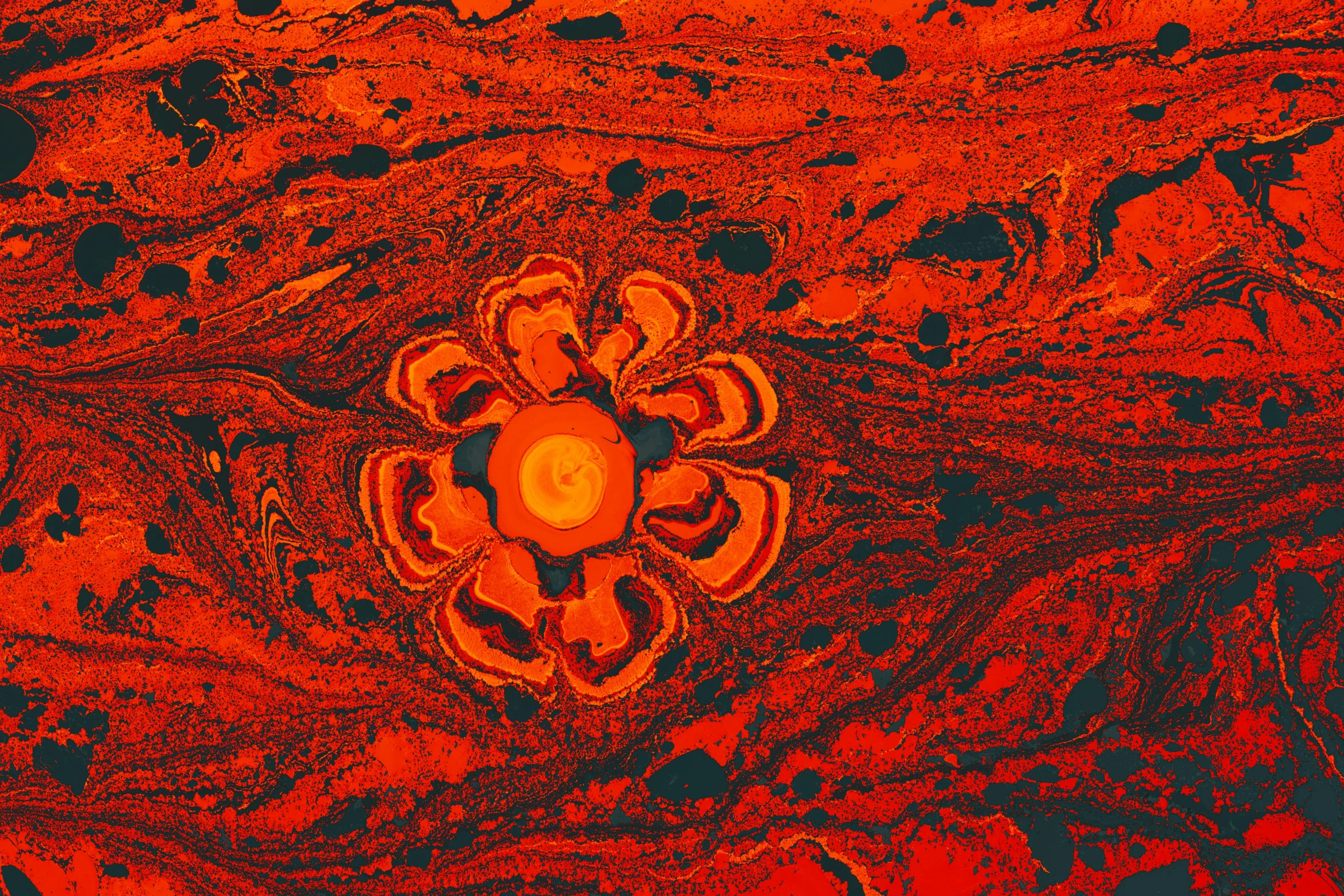 an orange and red background with a flower