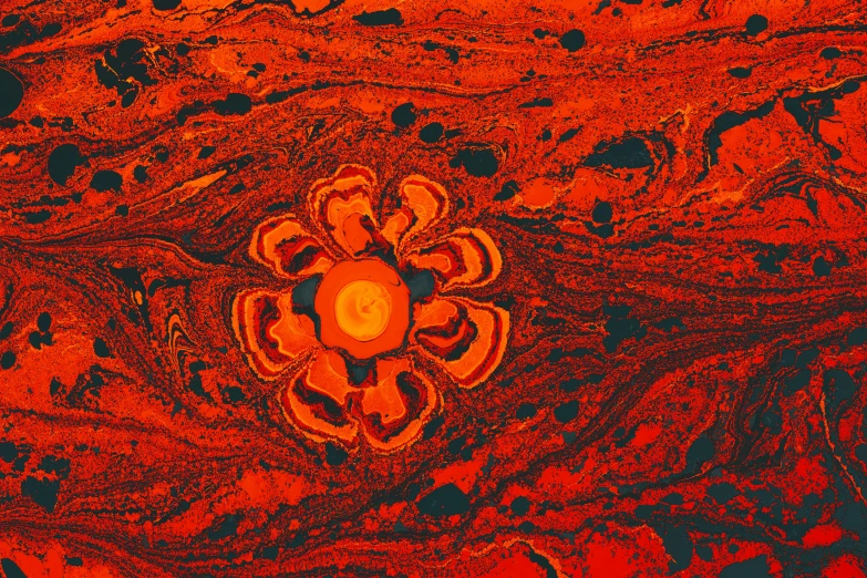 an orange and red background with a flower