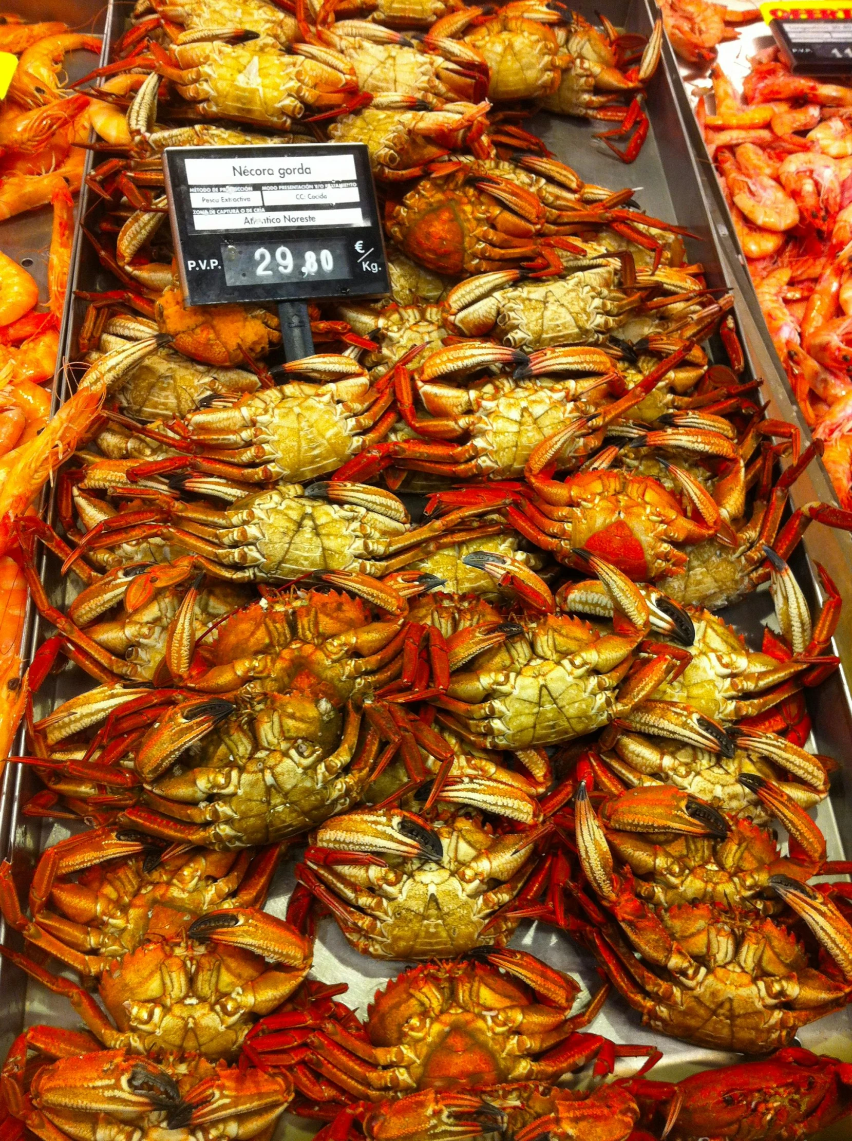 trays filled with different types of cooked seafood