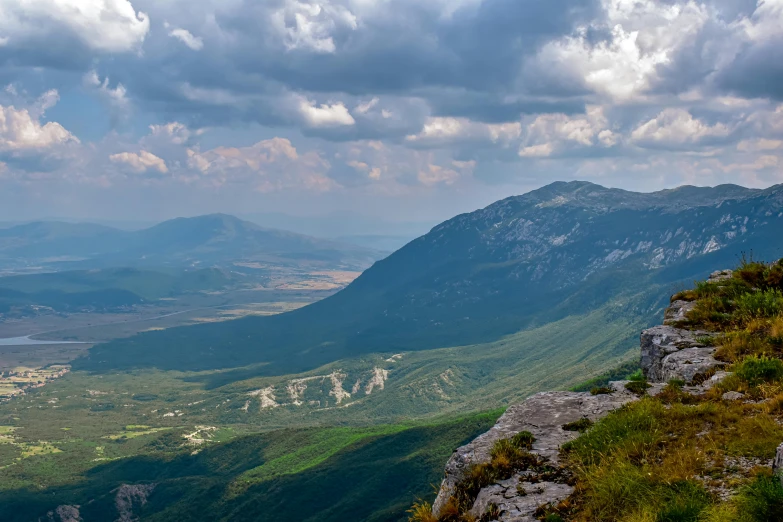 a person standing on top of a hill next to a forest