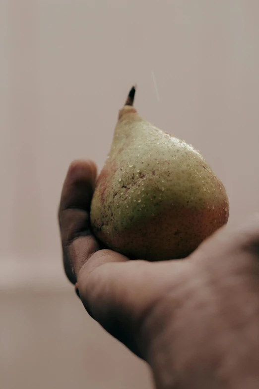 the hand is holding an animal, including a pear