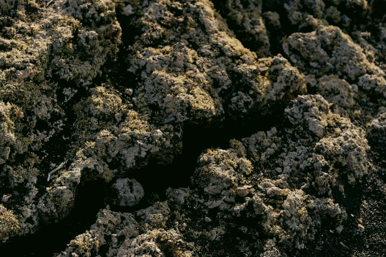 an up close view of the ground full of rocks