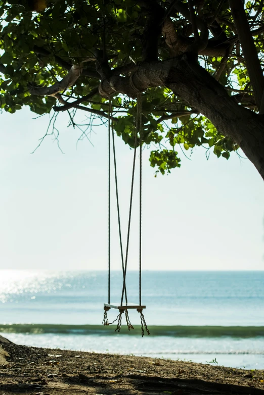 two people ride a swing in the sand near a body of water