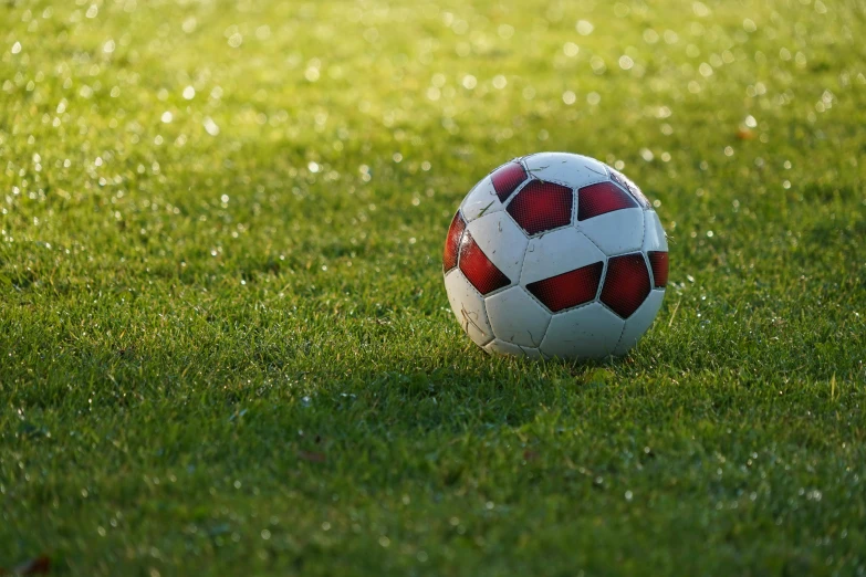 there is a soccer ball sitting in the grass