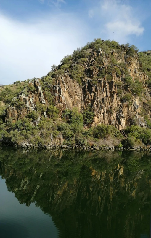 a lush green hillside sitting above water