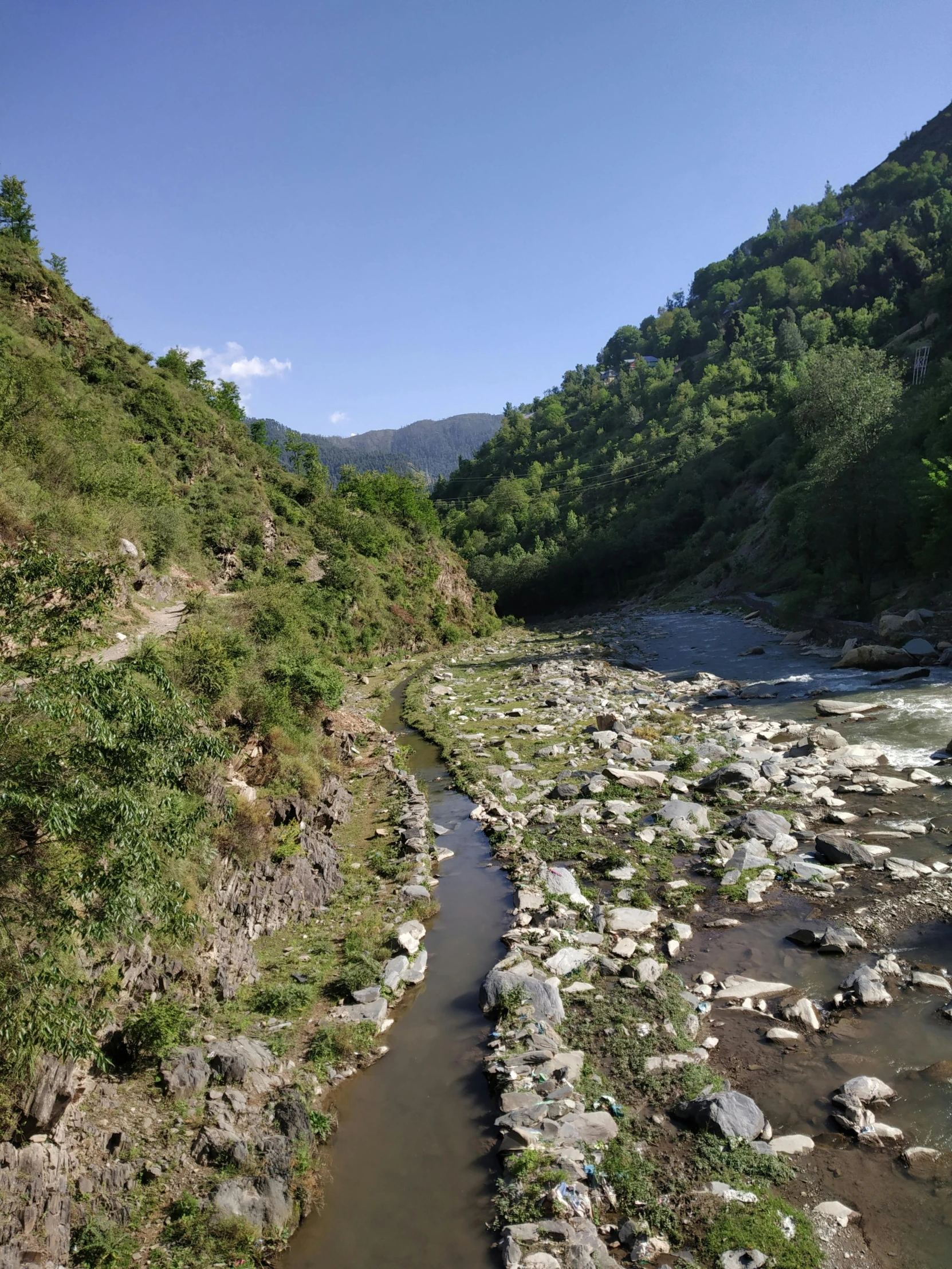 a river is running through the woods in the mountains