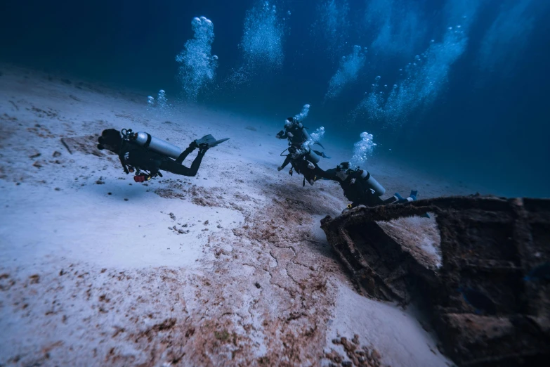 the group of divers are submerged in the ocean