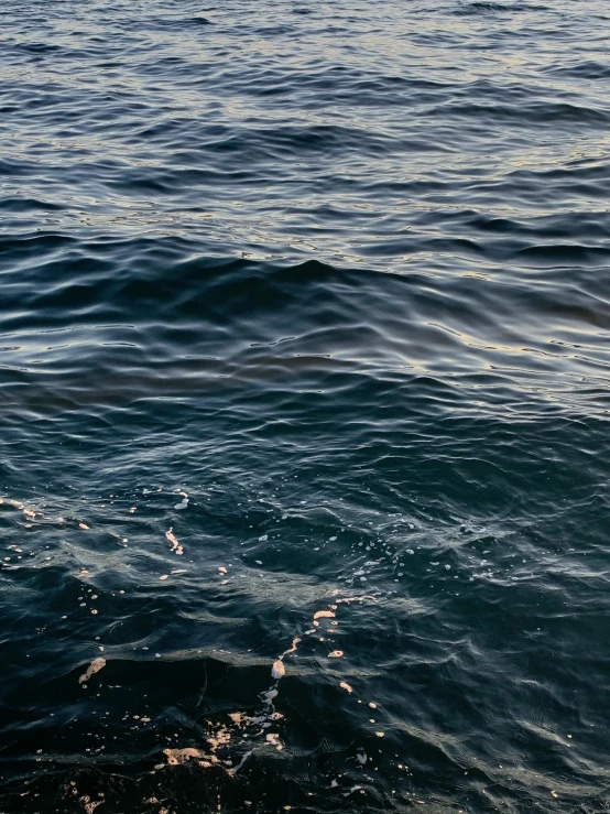 a close up view of the water on a sunny day