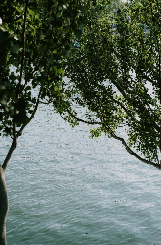 a person with an umbrella standing in the water