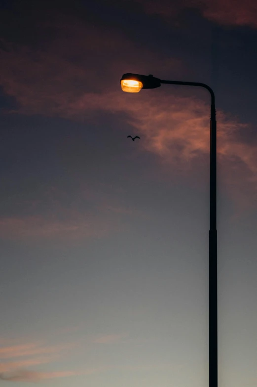 the streetlight is lit up at dusk as two birds fly near