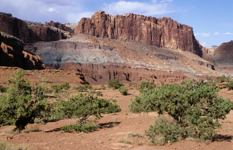 this is a mountain side with lots of shrubbery