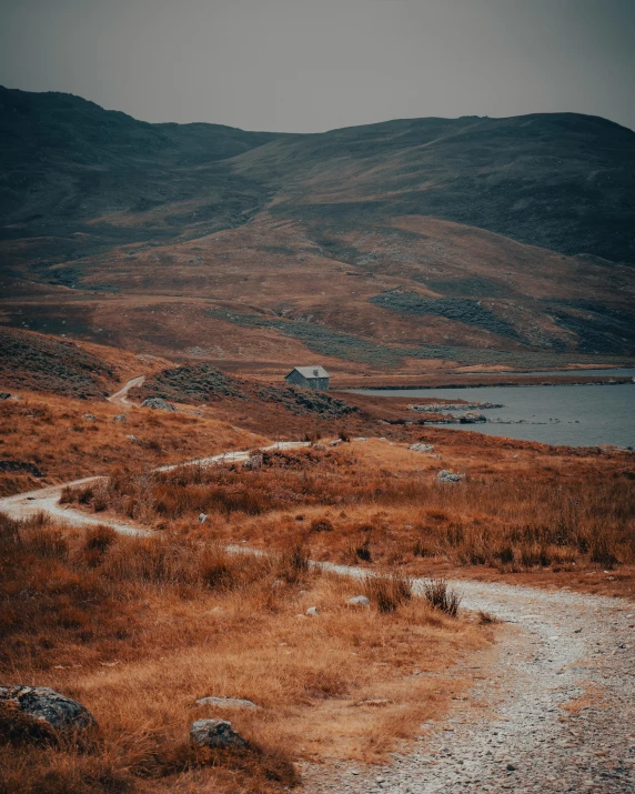 a path leading through an area of dry grass and brown mountain