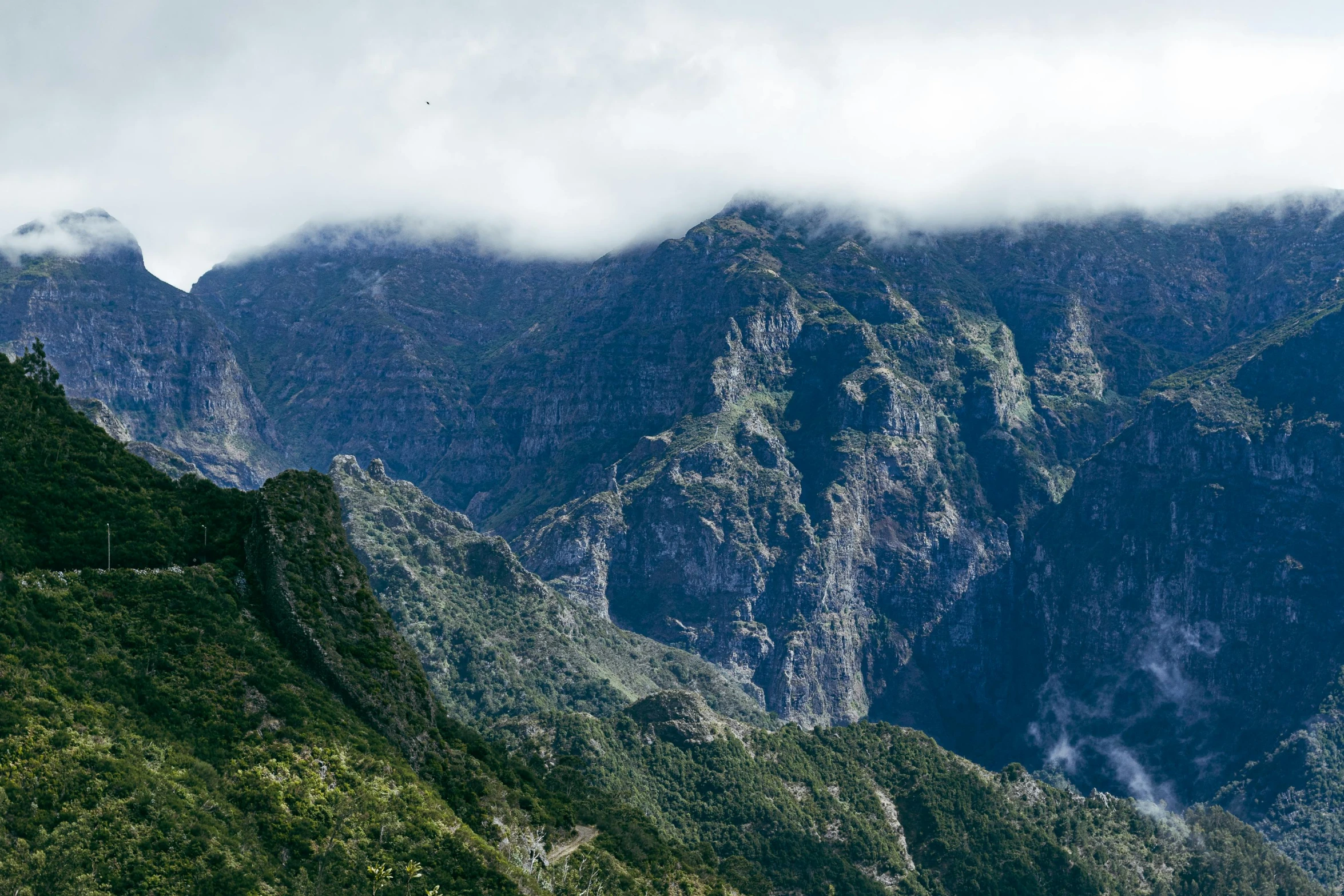 green mountains and trees with low clouds in the background