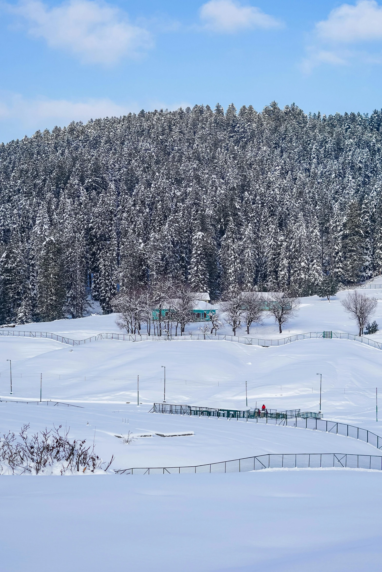 a ski slope covered in snow with trees and fence