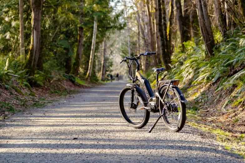 a bicycle sits on the gravel road in a wooded area