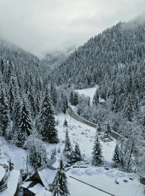 a hill covered in snow and surrounded by evergreen trees