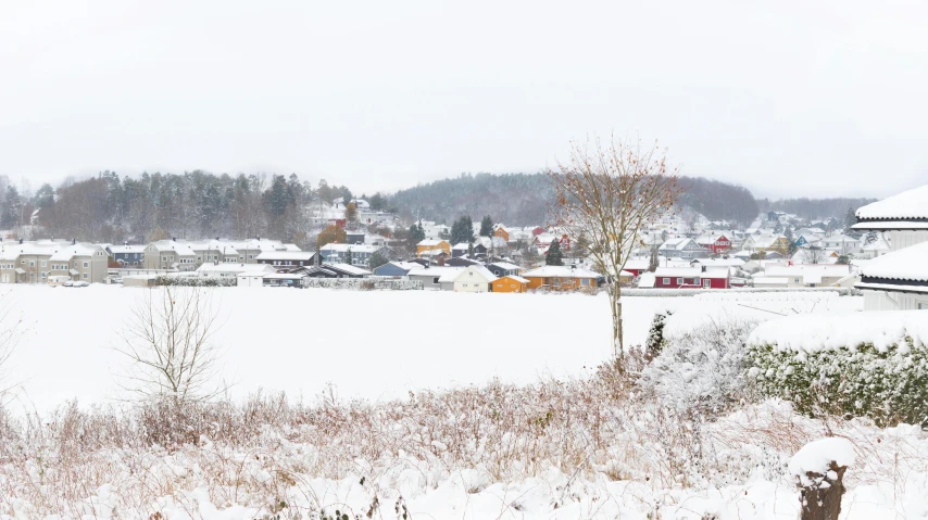 a small field with houses and trees in the background