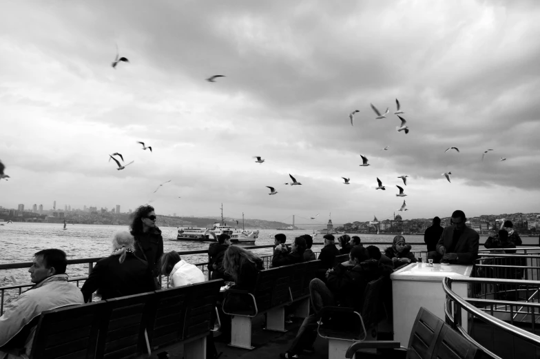 black and white po of people on a ferry watching seagulls
