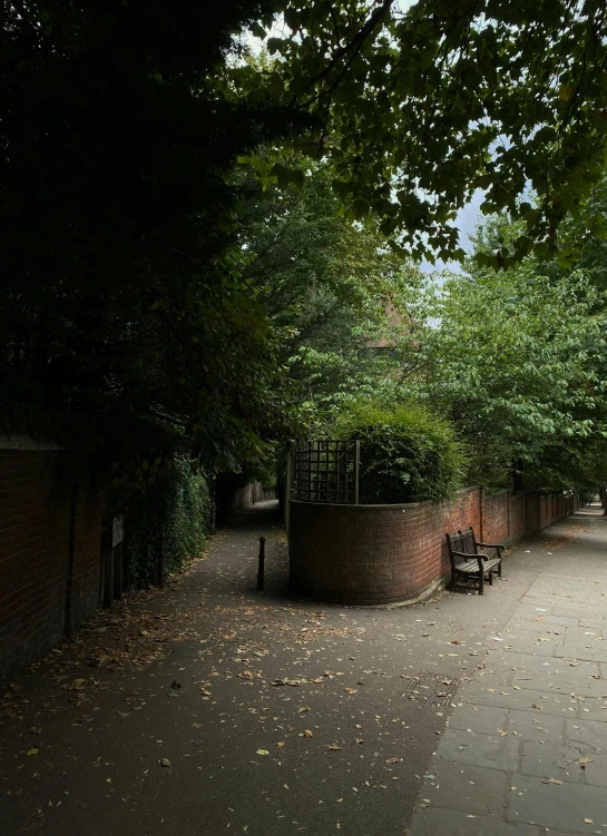 a bench in the park on a cloudy day