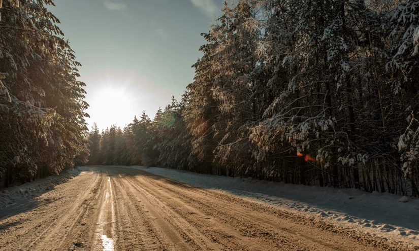 an empty dirt road surrounded by trees during the day