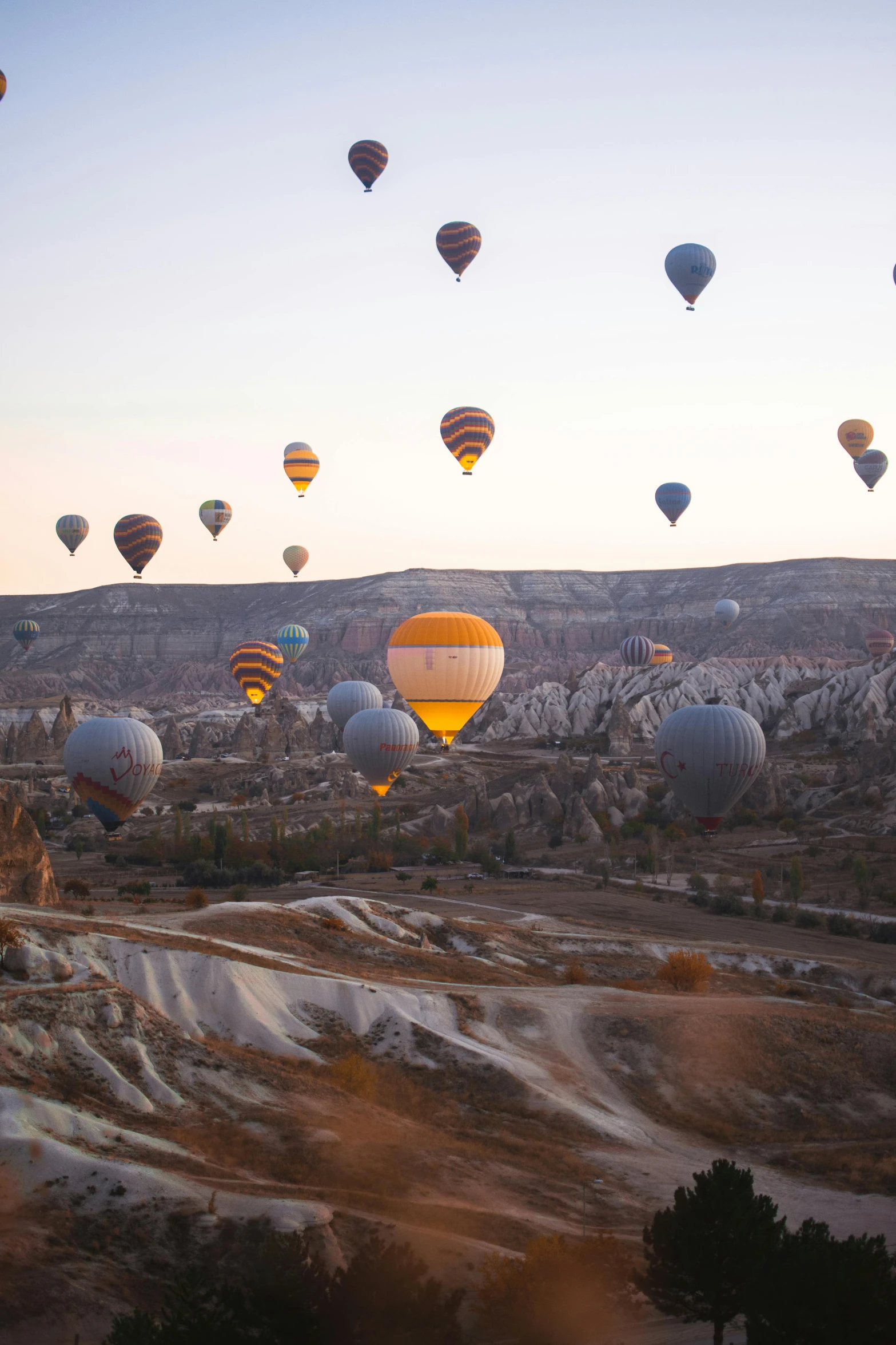 many  air balloons are floating over some land