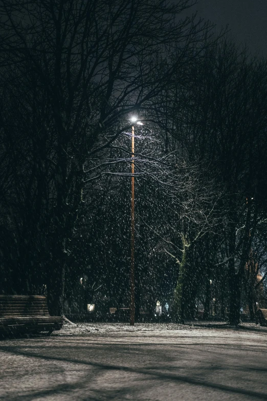 a street light is glowing on an empty park at night