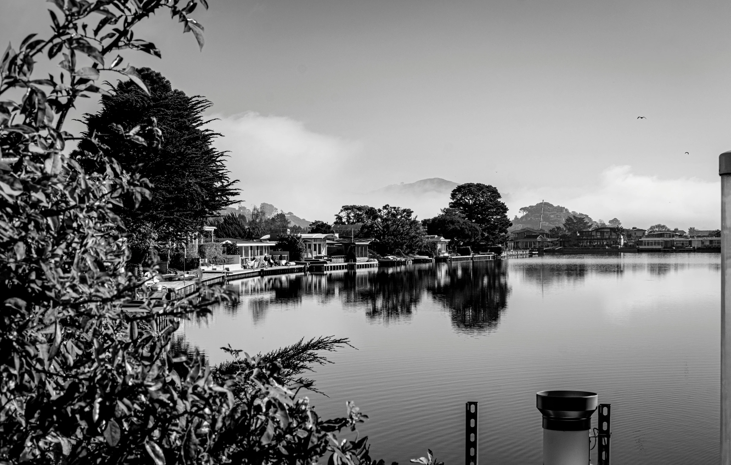 a lake with some water and a few trees