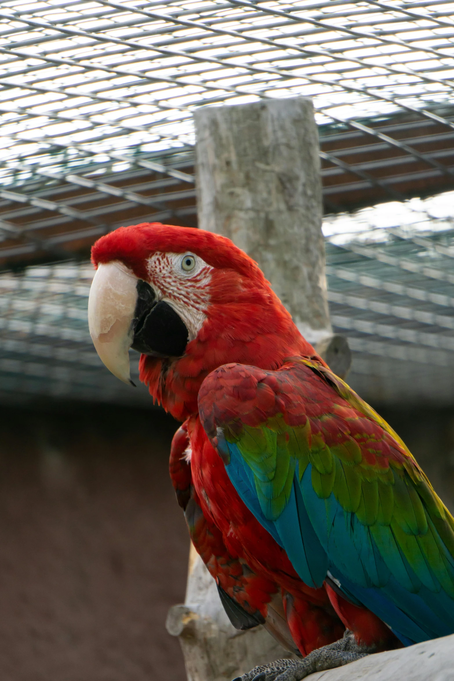 a bird sitting on top of a metal pole