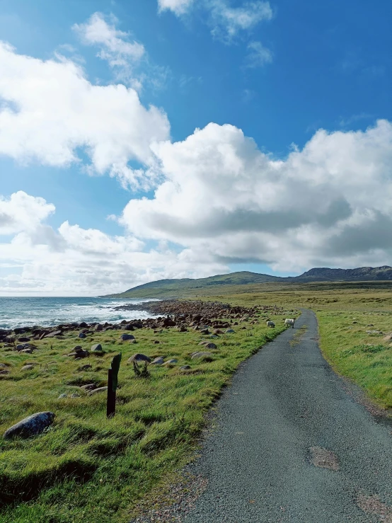 a paved road running between green grass next to the water