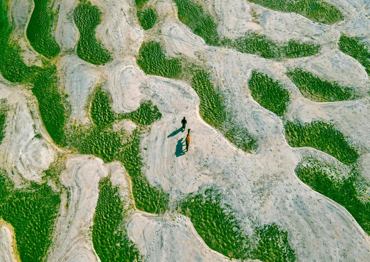 aerial pograph of people standing by large wavy formations