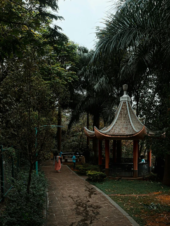 the pagoda with palm trees stands in the park