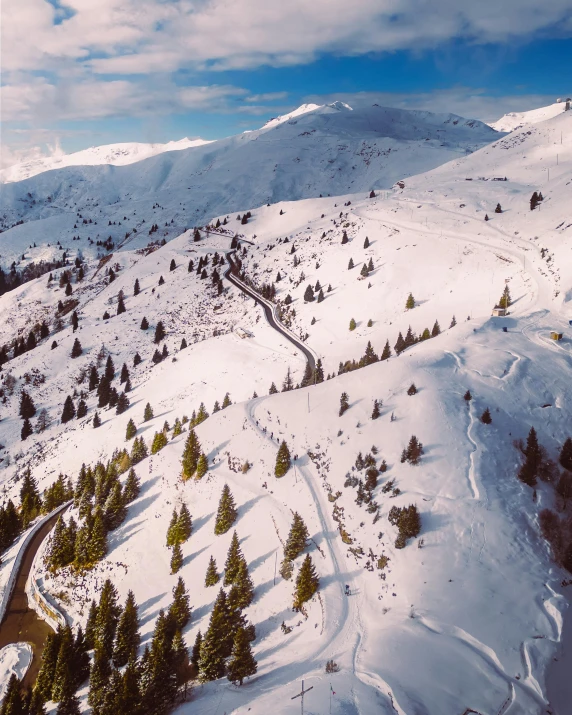 the snowy landscape features evergreen trees on both sides